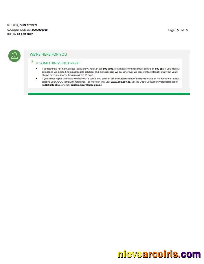 UAE Abu Dhabi Al Ain Distribution Co utility bill 5 pages 5